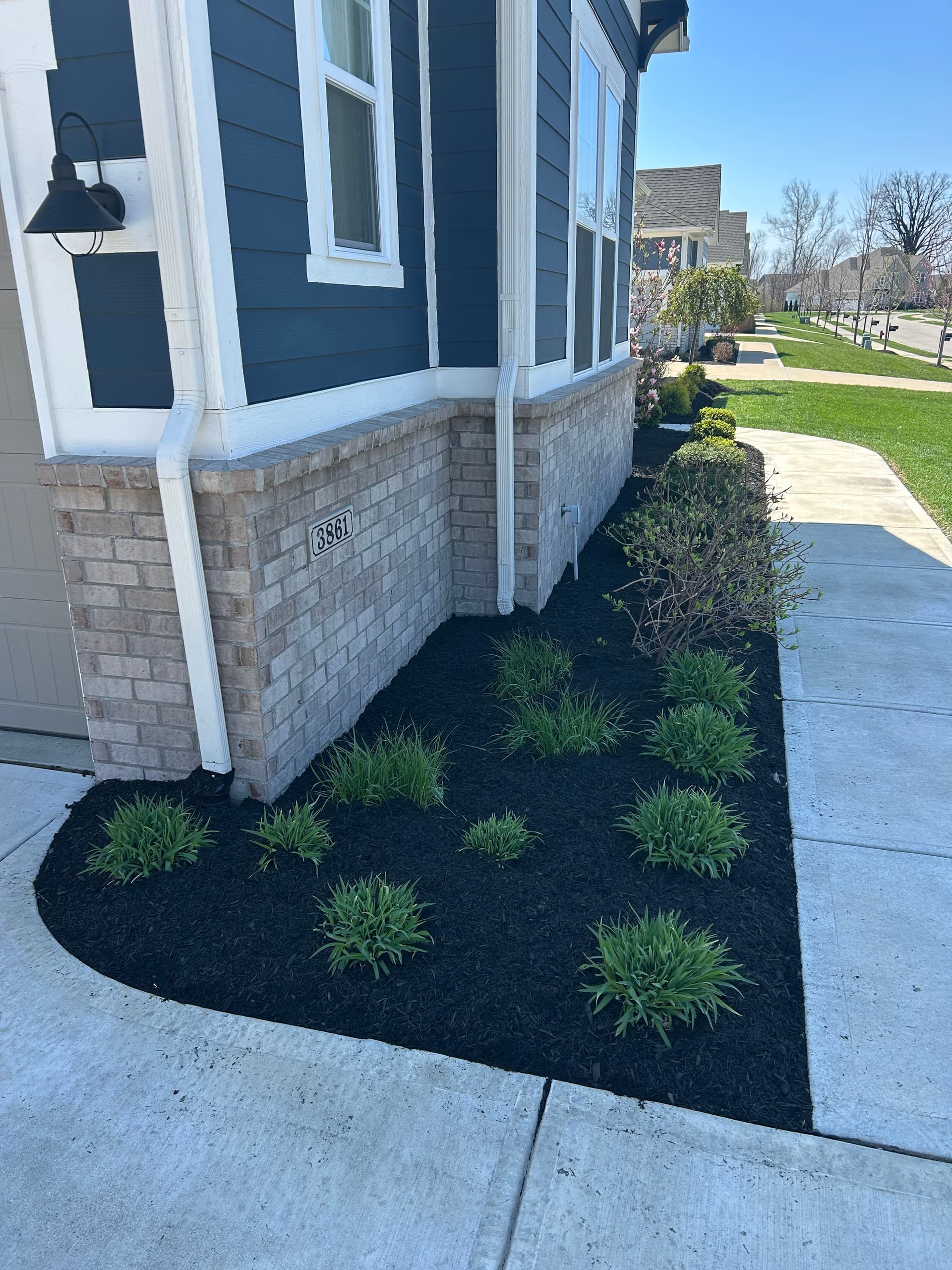 Gallery photos for Fresh Black Mulch Install Gives Westfield Home Serious Curb Appeal: Image #1