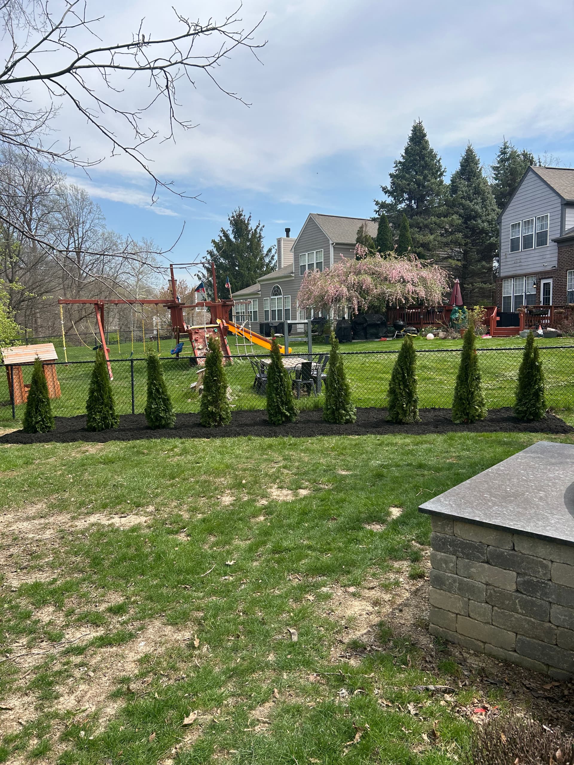 Backyard Family Fun Area and Evergreen Privacy Screen