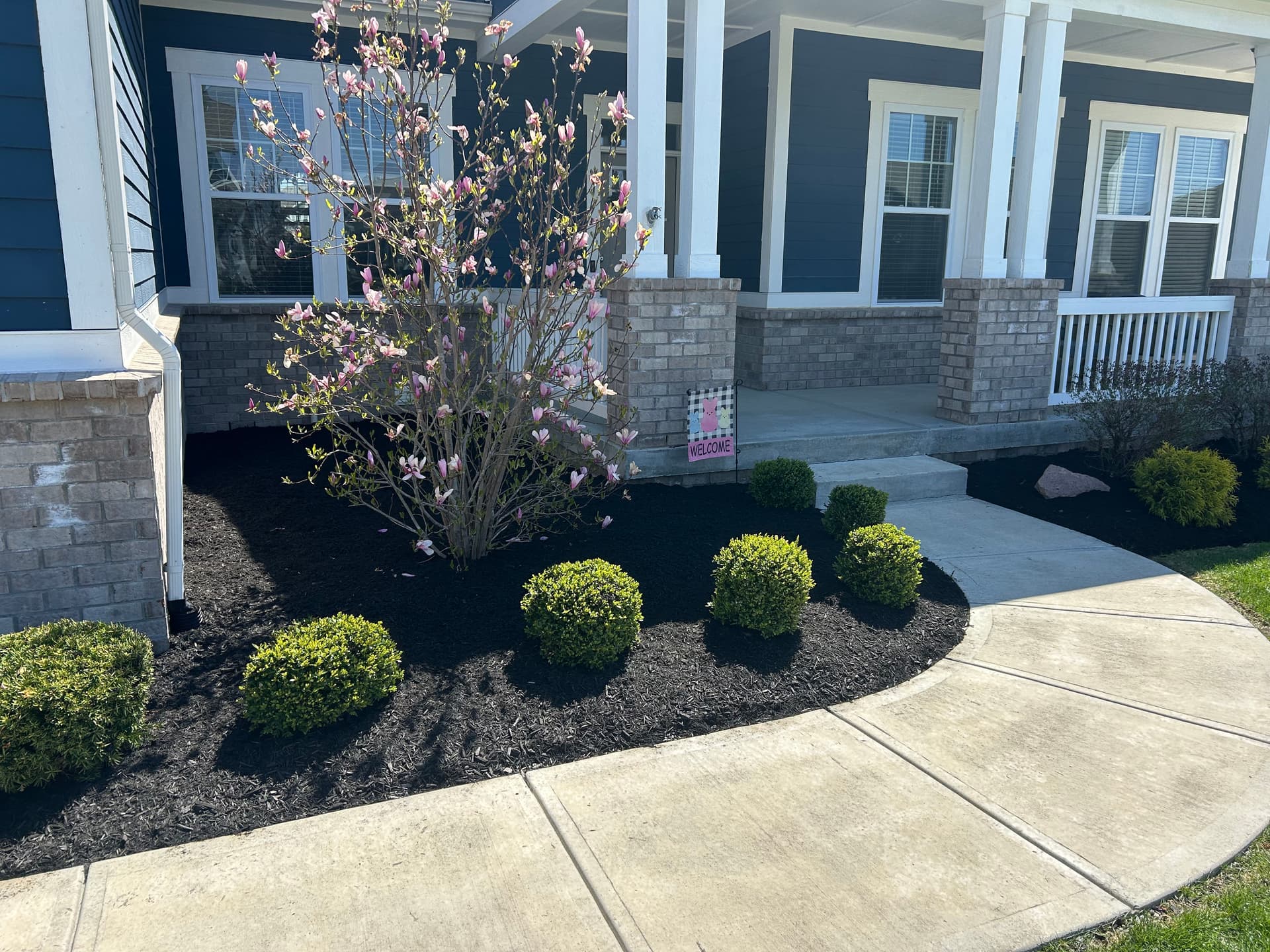 Fresh Black Mulch Install Gives Westfield Home Serious Curb Appeal image