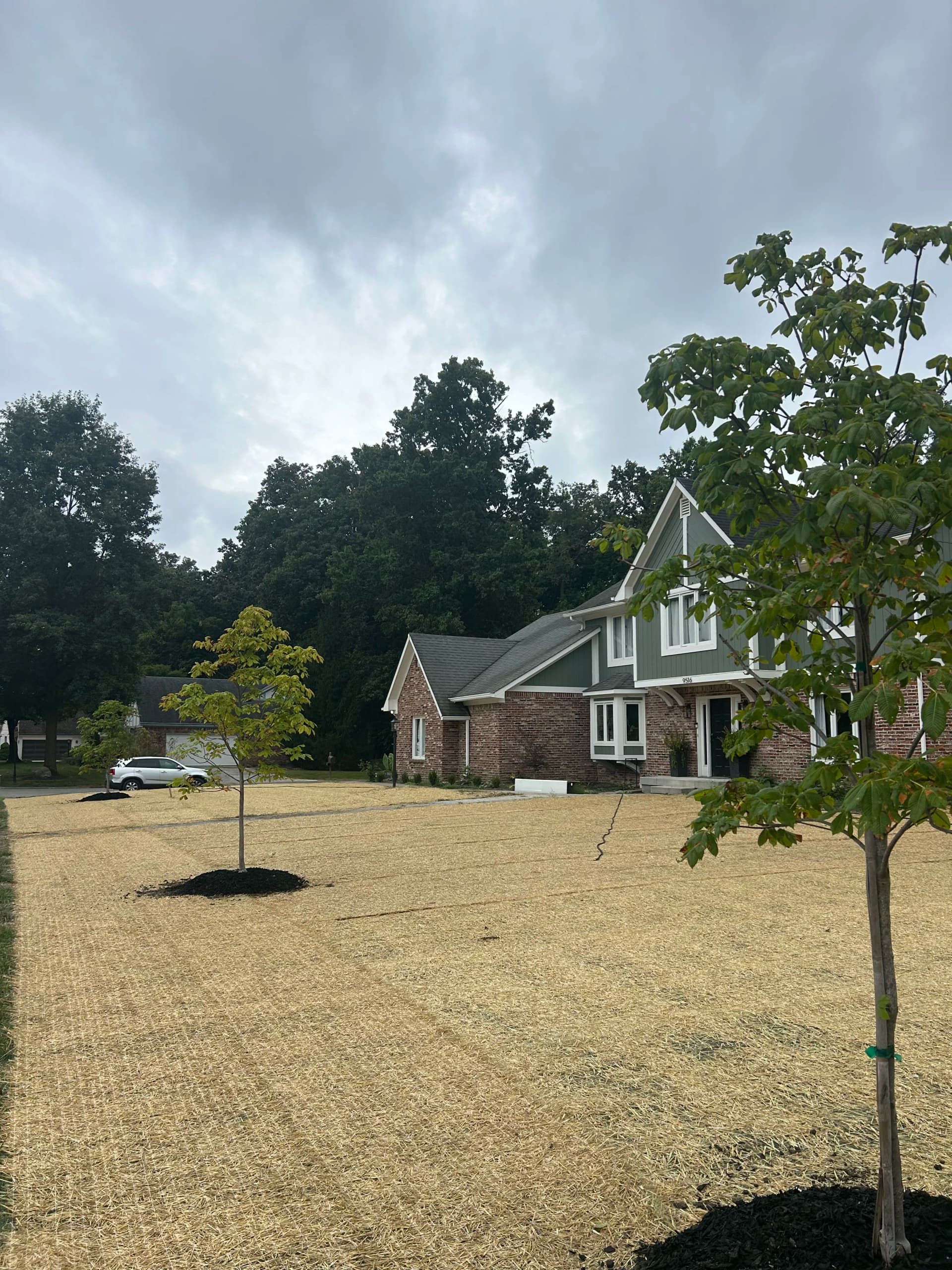 Gallery photos for Lawn Grading and Reseeding After Tree Removal in Fishers: Image #2