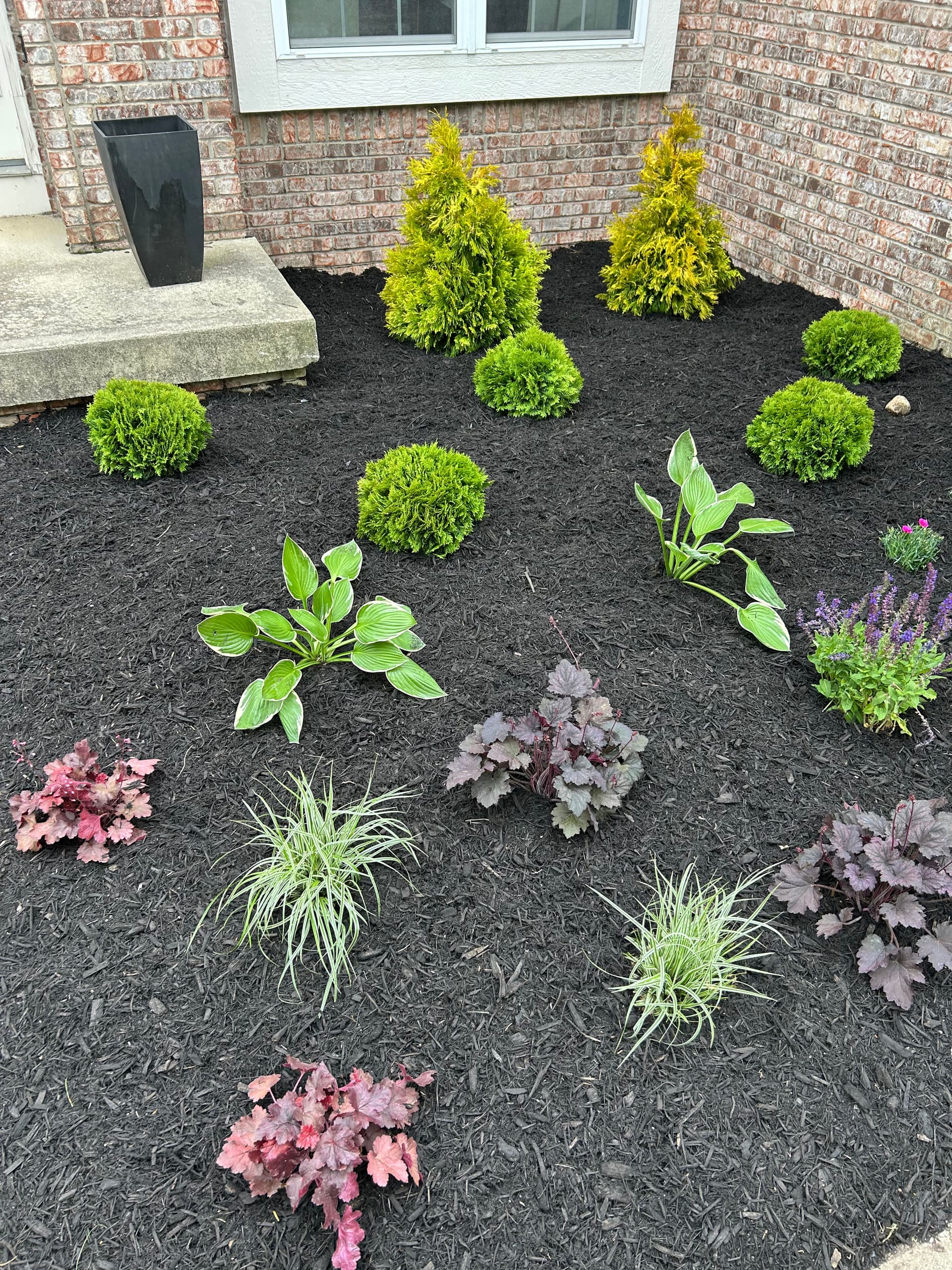 Fresh Plant Installation in Fishers Indiana image